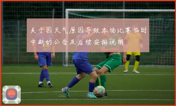 关于因天气原因导致本场比赛临时中断的公告及后续安排说明