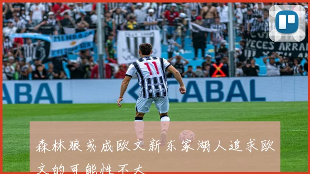 森林狼或成欧文新东家湖人追求欧文的可能性不大